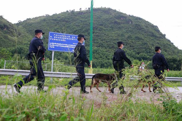 中国最新疫情概况概览，当前防控形势与趋势分析