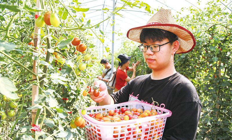 羽林街道最新交通资讯