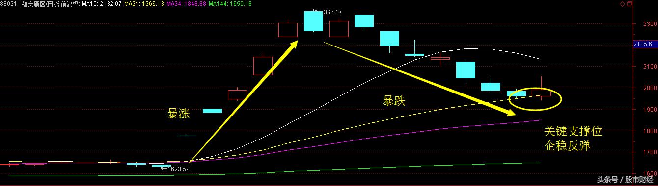 最新个股重磅公告概览与动态分析