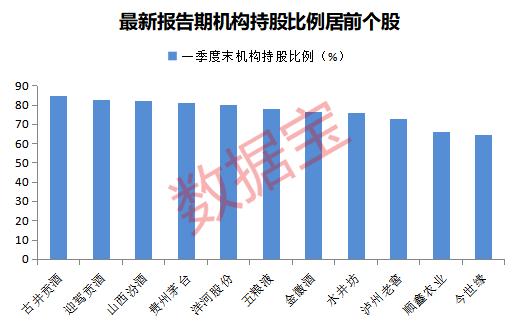 水井坊股票最新深度解析与动态更新