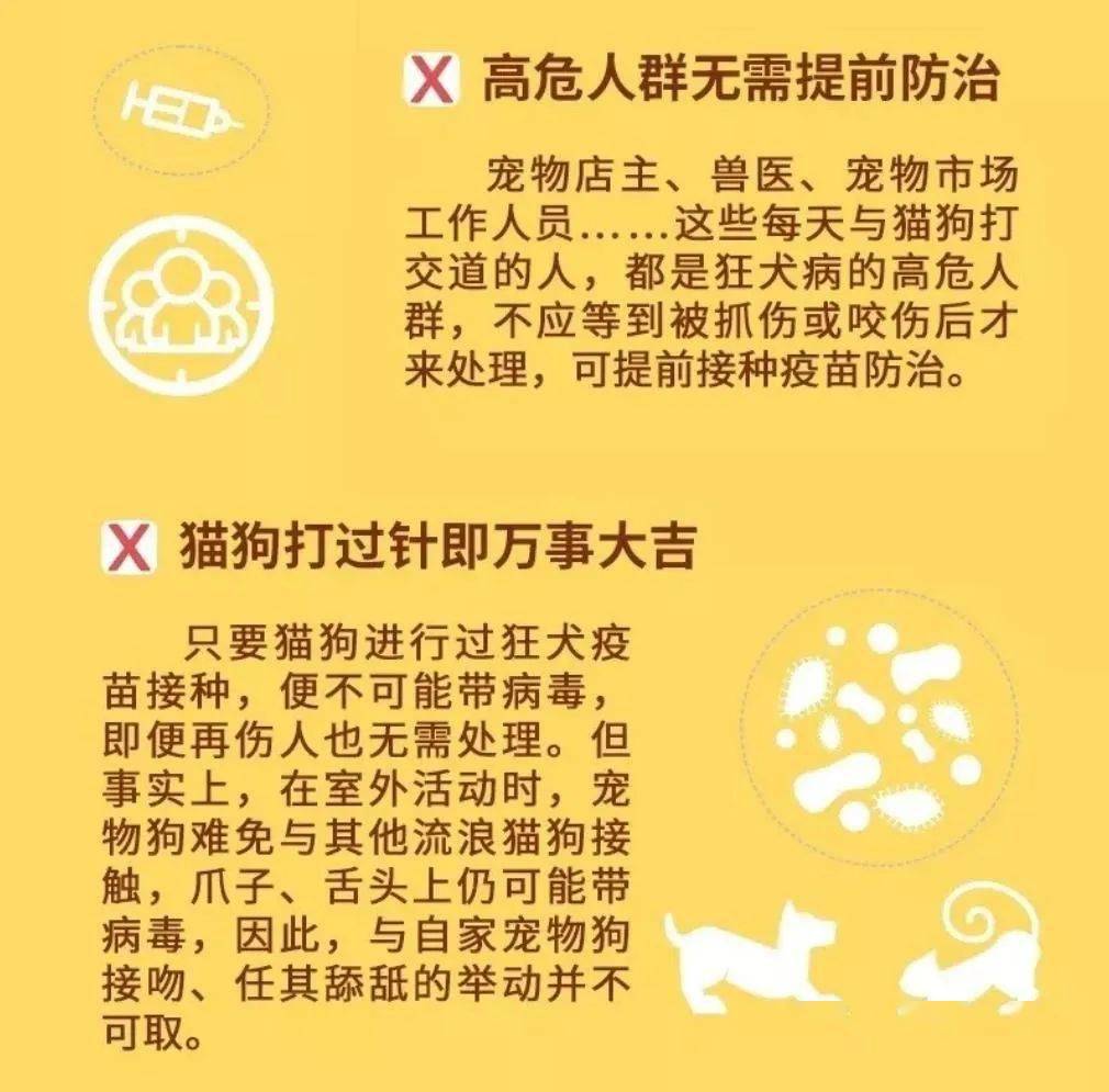 最新十日观察法，探索未知领域的全新视角